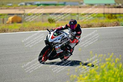 media/May-10-2024-2WTD (Fri) [[c88d7990af]]/Group C/Session 2-The Bowl/